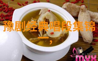 河南豫剧469场全场戏，河南豫剧469场全场戏视频
